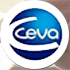 ceva